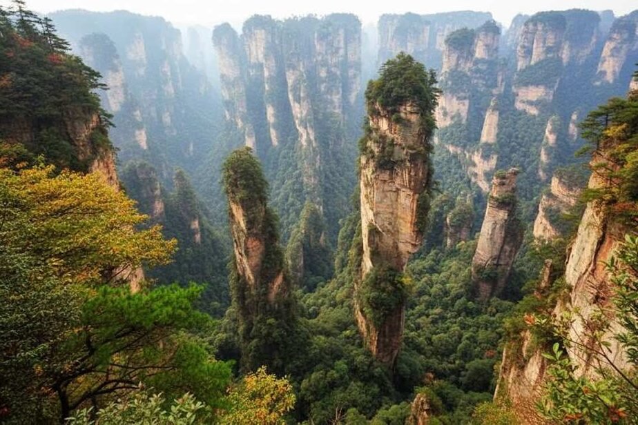 Forests That Look Straight Out of Fairy Tales